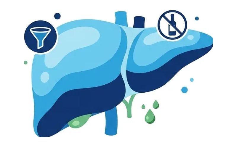 Know your liver: nutrients, foods and when to see a doctor