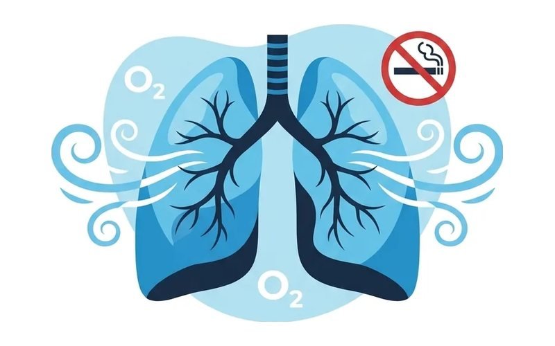 Know your lungs: nutrients, foods and when to see a doctor